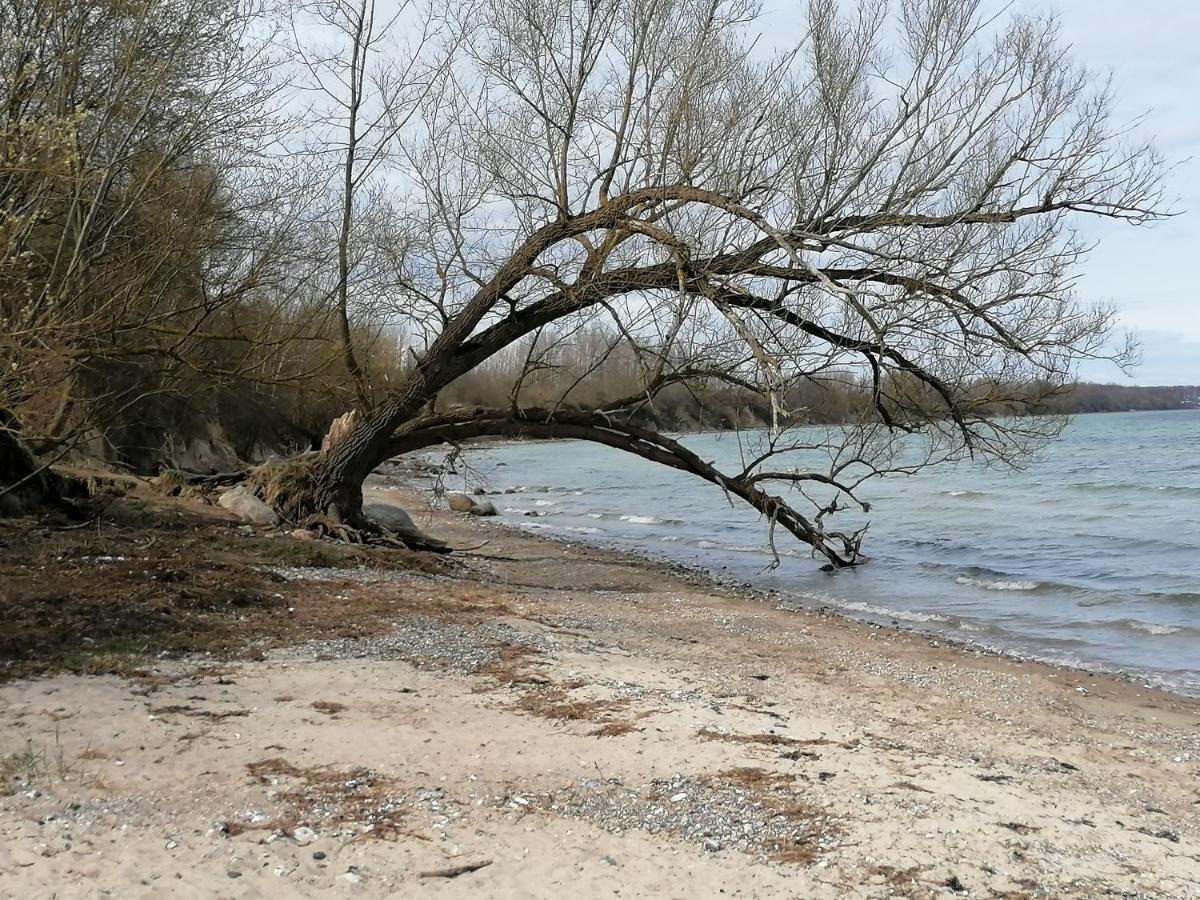 Pension Landidylle Wohlenhagen Bagian luar foto