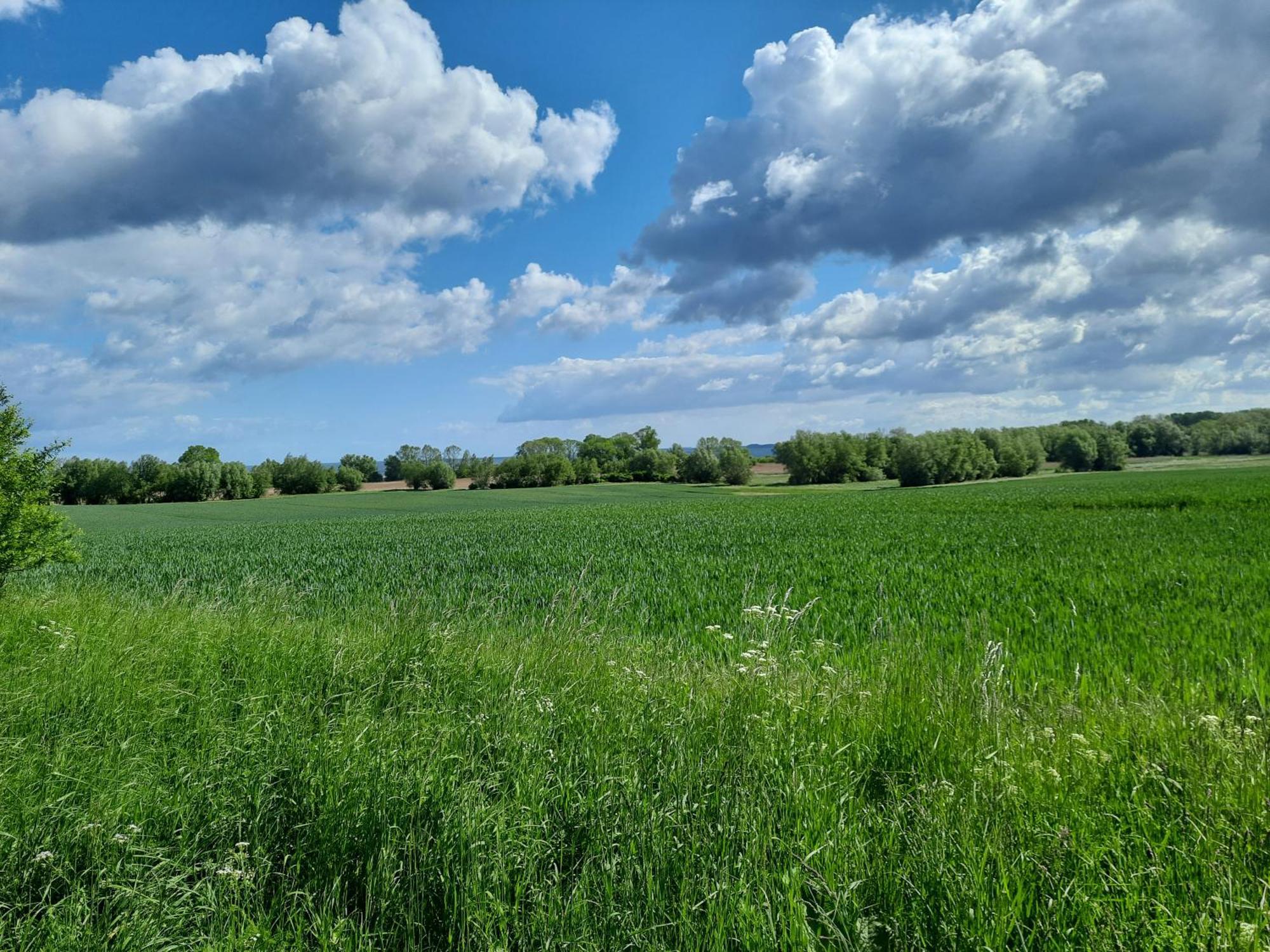 Pension Landidylle Wohlenhagen Bagian luar foto