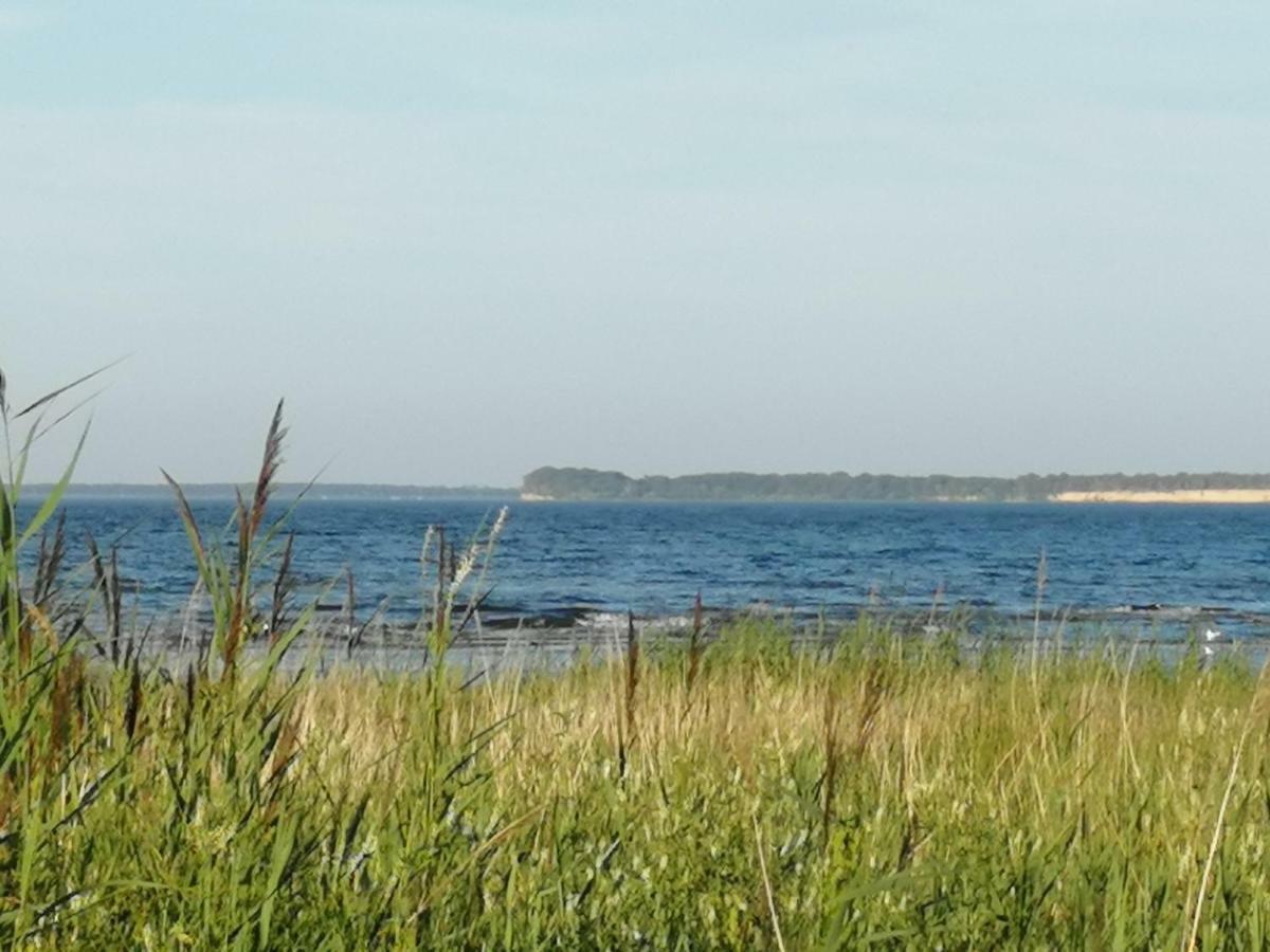 Pension Landidylle Wohlenhagen Bagian luar foto
