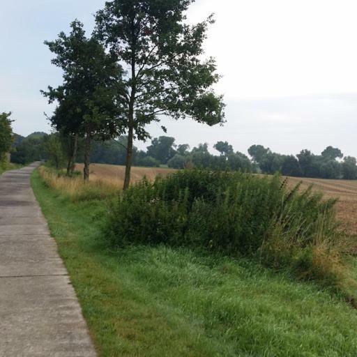 Pension Landidylle Wohlenhagen Bagian luar foto