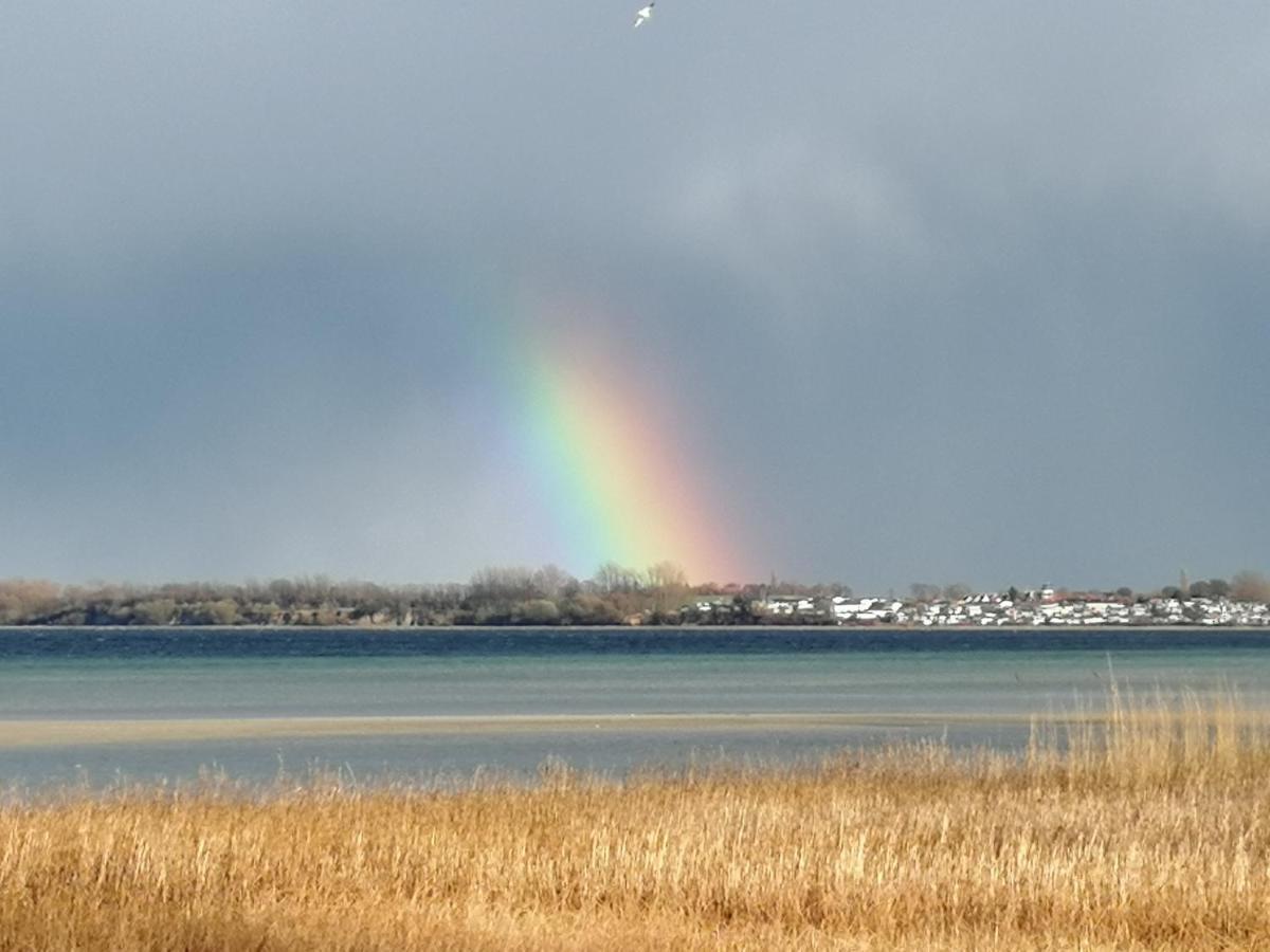 Pension Landidylle Wohlenhagen Bagian luar foto